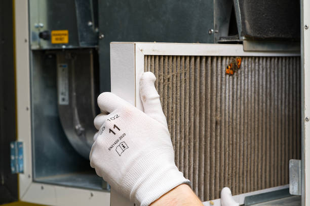 Best Local Air Duct Cleaning Services  in Mount Vernon, WA