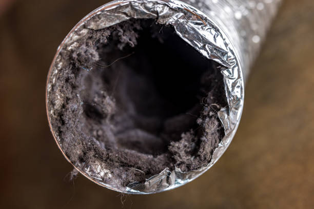 Best Duct Cleaning for Offices  in Mount Vernon, WA